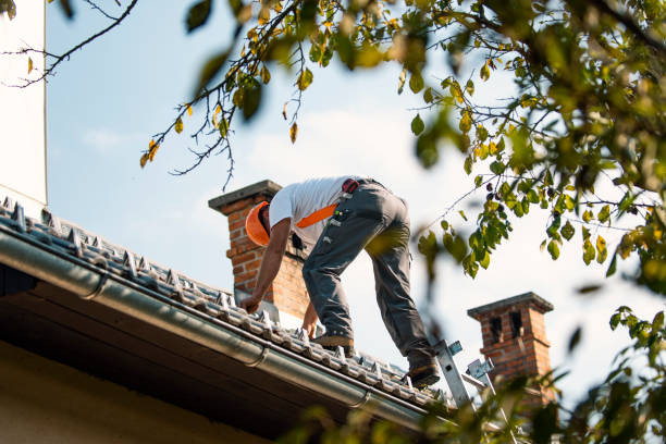 Best Roof Ventilation Installation  in Boyce, LA